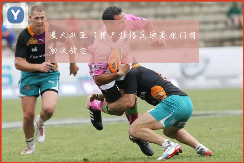 澳大利亚门将开挂格瓦迪奥尔门将助攻被拒