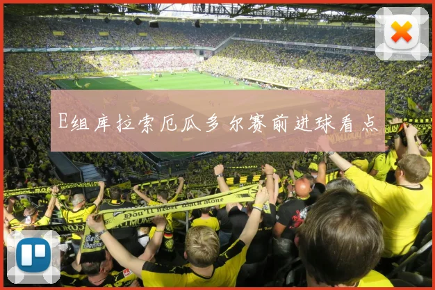 E组库拉索厄瓜多尔赛前进球看点