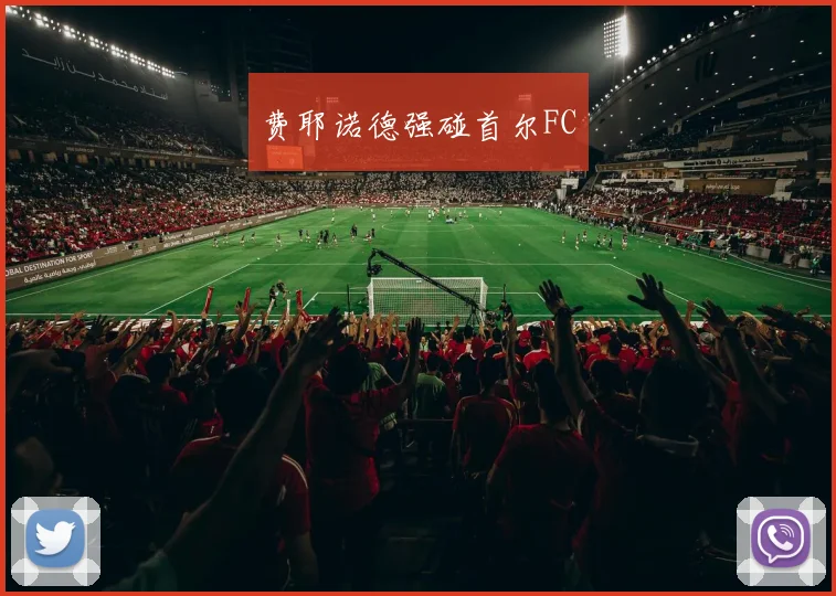费耶诺德强碰首尔FC