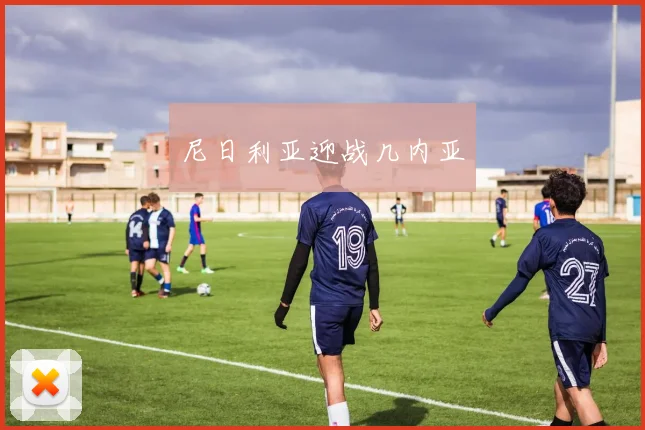 尼日利亚迎战几内亚