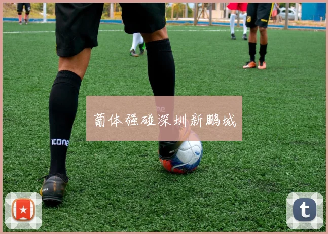 葡体强碰深圳新鹏城
