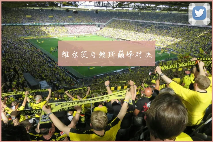 维尔茨与赖斯巅峰对决
