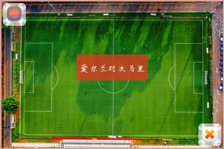 爱尔兰对决马里