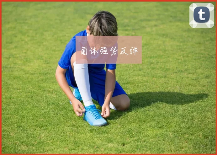 葡体强势反弹