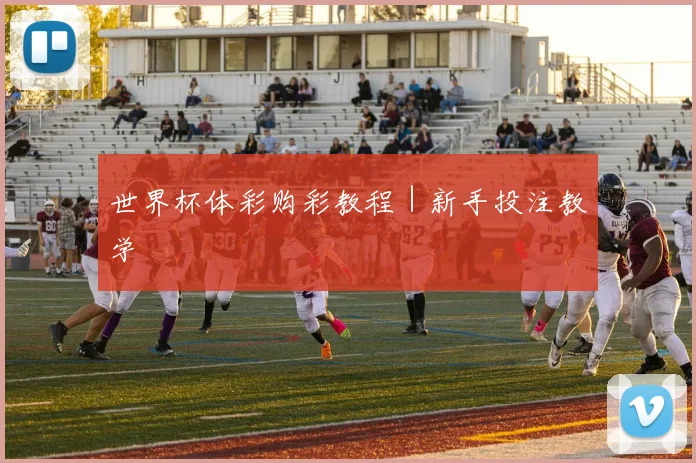 世界杯体彩购彩教程｜新手投注教学