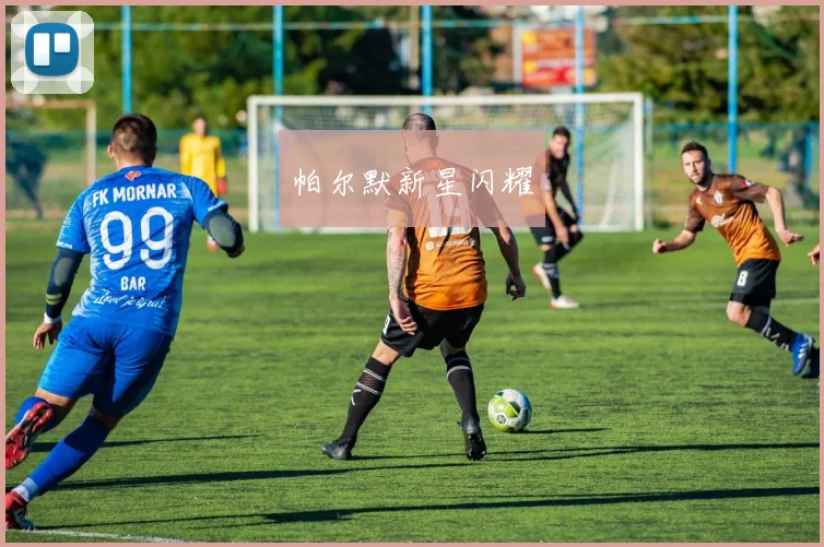 帕尔默新星闪耀