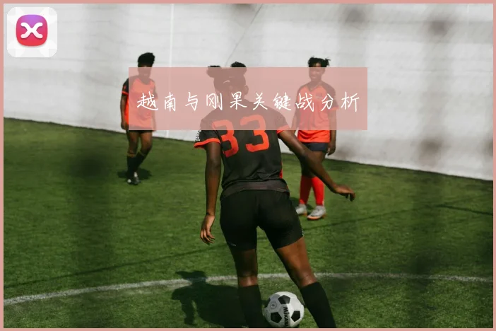 越南与刚果关键战分析