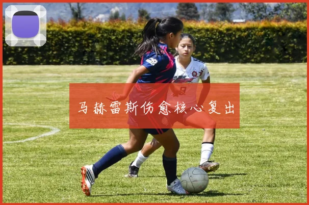 马赫雷斯伤愈核心复出