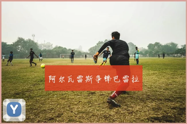 阿尔瓦雷斯争锋巴雷拉