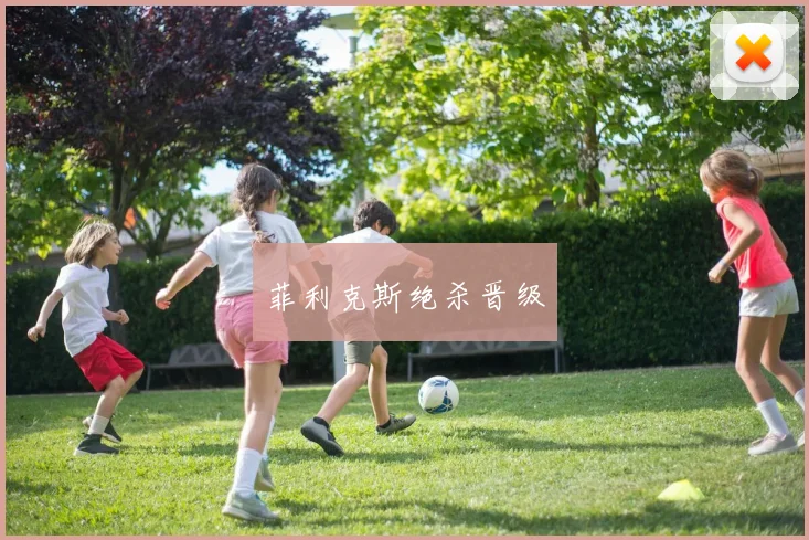 菲利克斯绝杀晋级