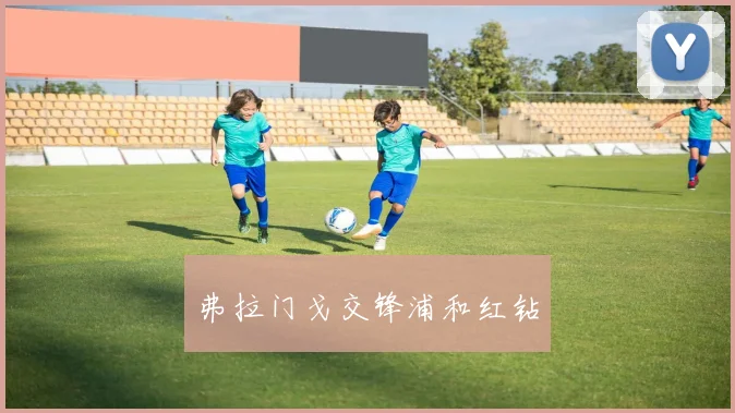 弗拉门戈交锋浦和红钻