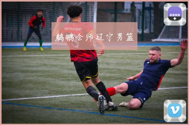 鹈鹕会师辽宁男篮