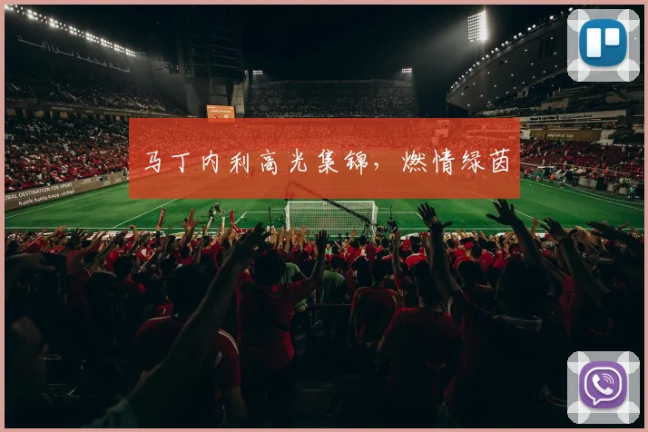 马丁内利高光集锦，燃情绿茵