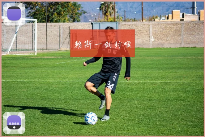 赖斯一剑封喉