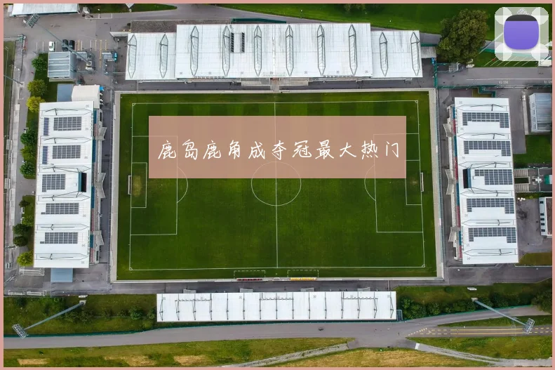 鹿岛鹿角成夺冠最大热门