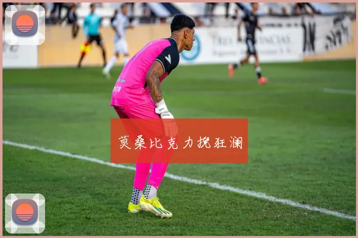 莫桑比克力挽狂澜