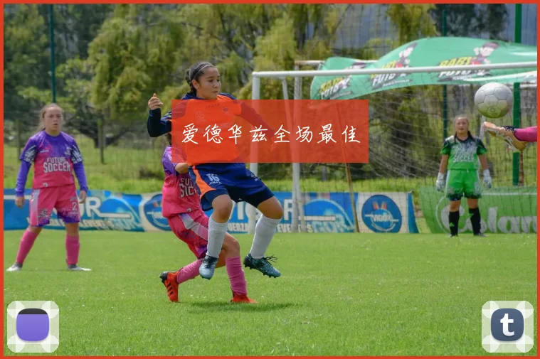 爱德华兹全场最佳