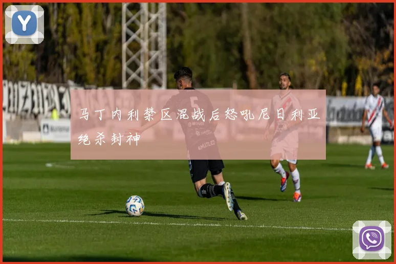 马丁内利禁区混战后怒吼尼日利亚绝杀封神