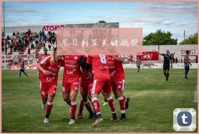 尼日利亚关键战役