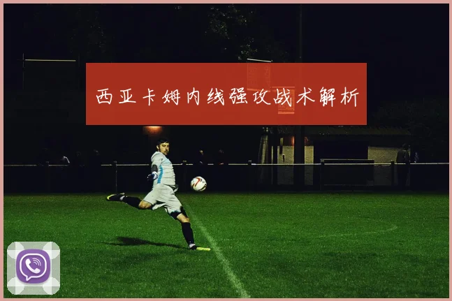 西亚卡姆内线强攻战术解析