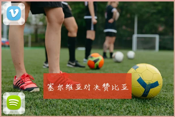 塞尔维亚对决赞比亚