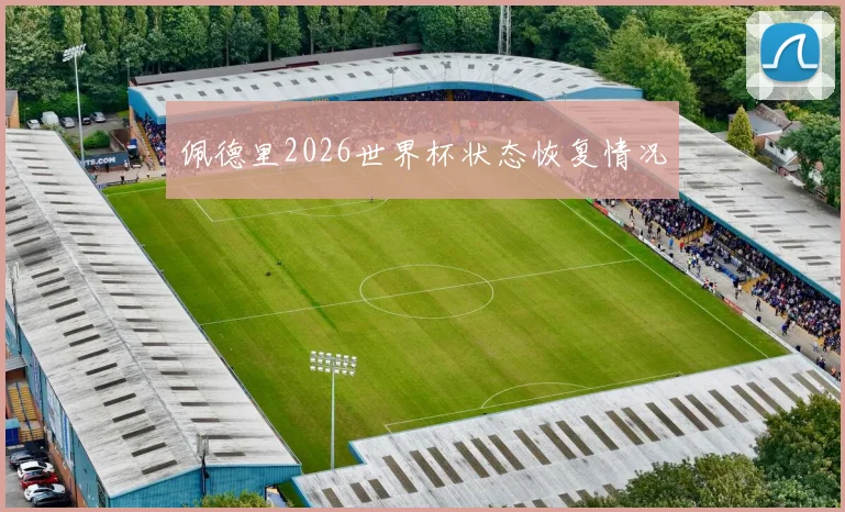 佩德里2026世界杯状态恢复情况