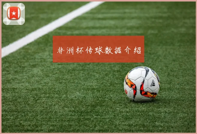 非洲杯传球数据介绍
