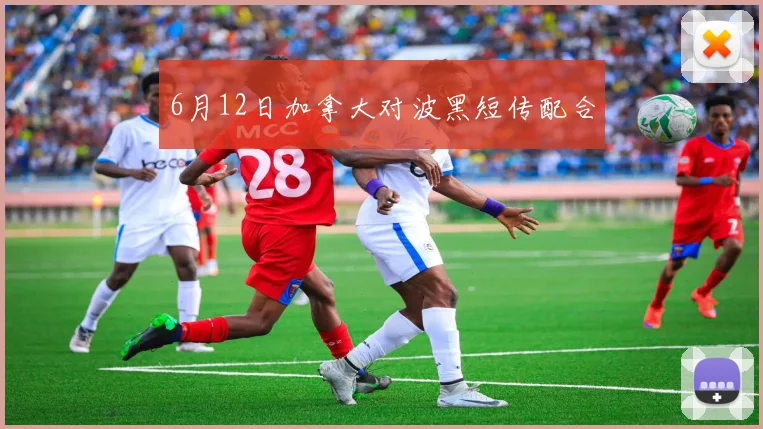 6月12日加拿大对波黑短传配合