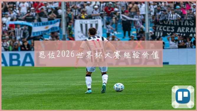 恩佐2026世界杯大赛经验价值