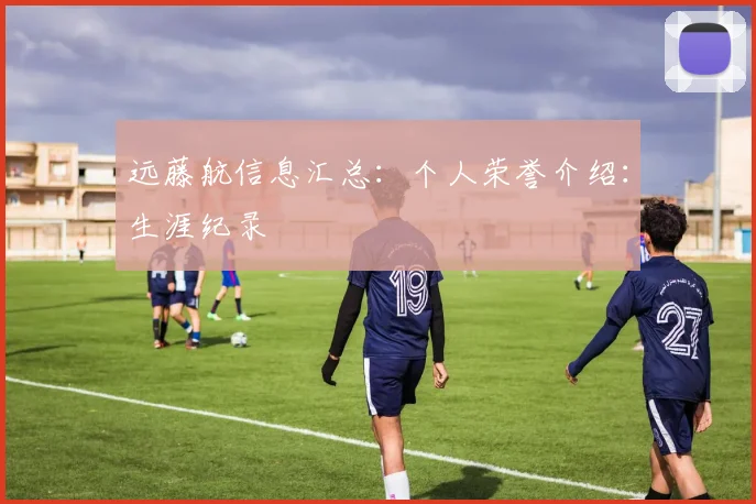 远藤航信息汇总：个人荣誉介绍：生涯纪录